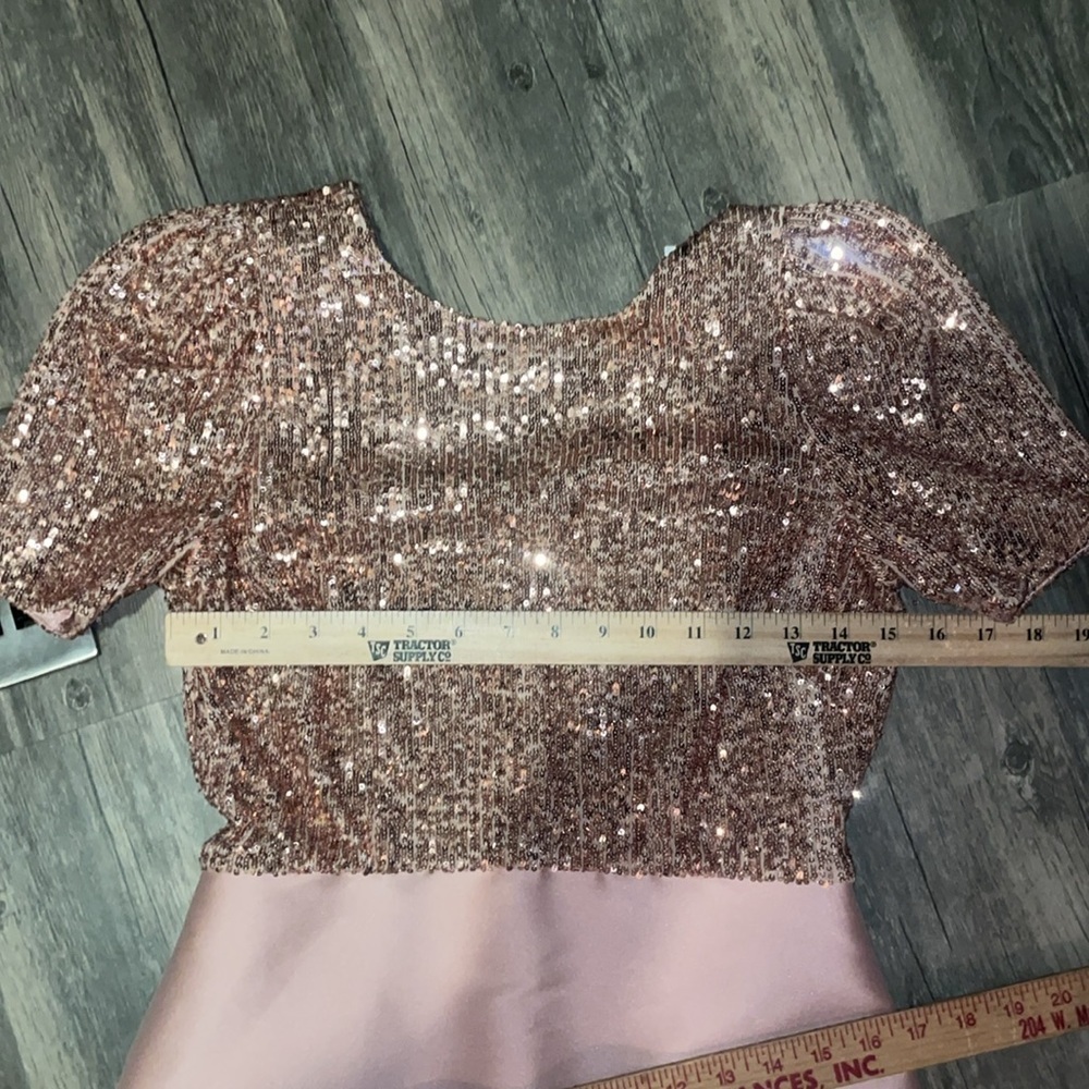 Sachin + Babi Margot Gown in blush. Size 2 - Picture 6 of 13